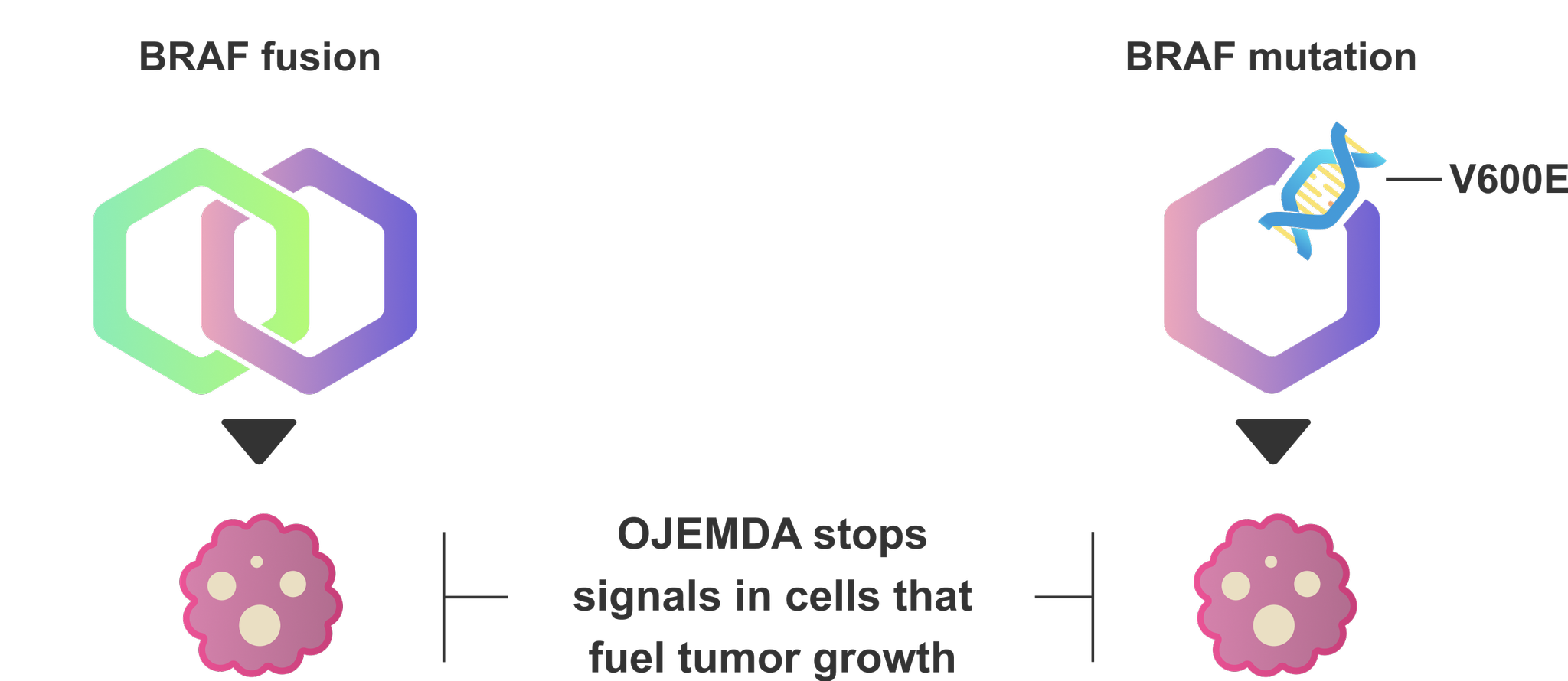 OJEMDA works to block tumor growth caused by an abnormal BRAF gene. OJEMDA stops signals in cells that fuel tumor growth